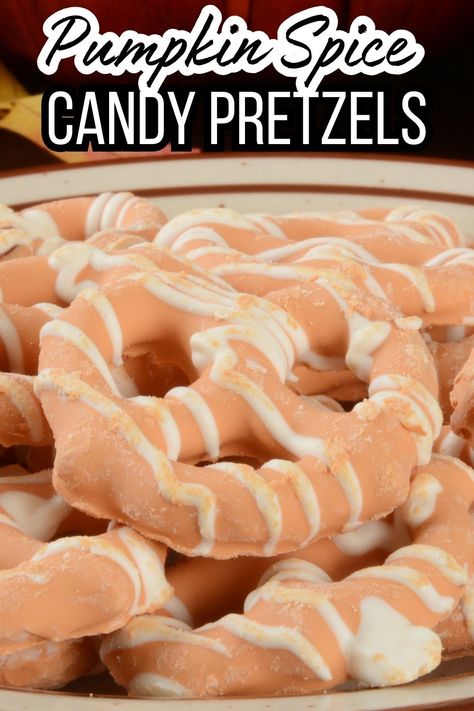 This pumpkin spice pretzels recipe tastes just like the Flipz Pumpkin Spice Pretzels available during the fall....except they're much cheaper to make! Fall Treat | Halloween Recipe | No Bake Pumpkin Spice Pretzels Recipe | Pumpkin Candy Pretzels Pumpkin Spice Pretzels Recipe, Pumpkin Spice Pretzels, Pumpkin Pretzels Recipe, Candied Pretzels, Candy Melts Recipe, Candy Pretzels, Spiced Pretzels, Pumpkin Pretzels, Holiday Candies