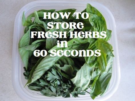 Freeze Herbs, Storing Basil, Storing Herbs, How To Store Tomatoes, Store Fresh Herbs, Herb Storage, Scratch Recipes, Garden Herbs, Balanced Nutrition