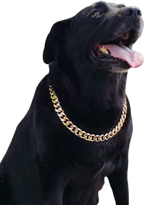 AmazonSmile : PP COLOR Gold Chain Dog Collar-3/4 Width Cuban Link Dog Necklace, Cute Fashion Pet Collar for Pit Bulldog, Light Metal Jewelry Chain Puppy Accessories 23" : Pet Supplies Chain For Dogs, Pit Bulldog, Gold Dog Collar, Dog Chain, Luxury Dog Collars, Hip Hop Chains, Puppy Accessories, Cute Dog Collars, Huge Dogs