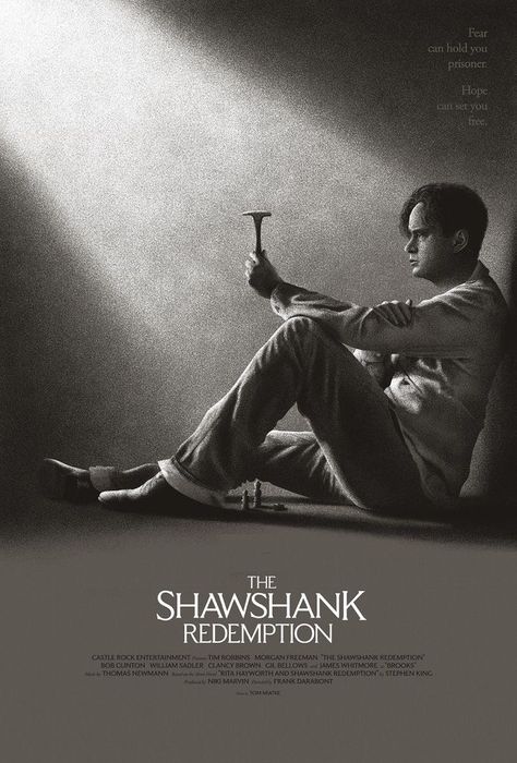 The Shawshank Redemption, Short Novels, Best Movie Posters, King Book, Movie Poster Wall, Movie Posters Design, Movie Poster Art, Iconic Movies, Film Posters