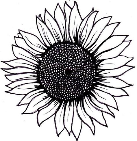 Simple Sunflower Tattoo Layout Sunflower Tattoo Simple, Sunflower Black And White, Sunflower Coloring Pages, Sunflower Tattoo Sleeve, Sunflower Tattoo Shoulder, Sunflower Drawing, Small Sunflower, White Sunflowers, Cowgirl Art