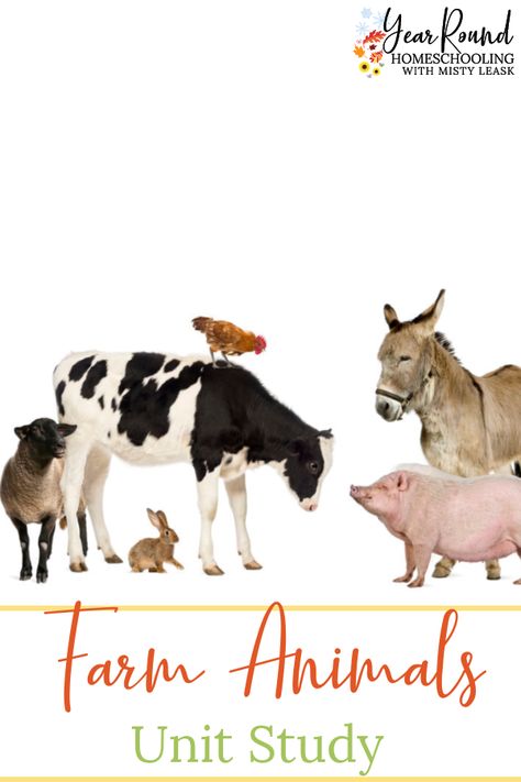 Homeschool Farm Unit, Free Farm Printables, Farm Animal Printables Free, Farm Animals Printables, Mammal Unit Study, Farm Anatomy, Farm Unit Study, Horse Drawing Tutorial, Homeschool Units