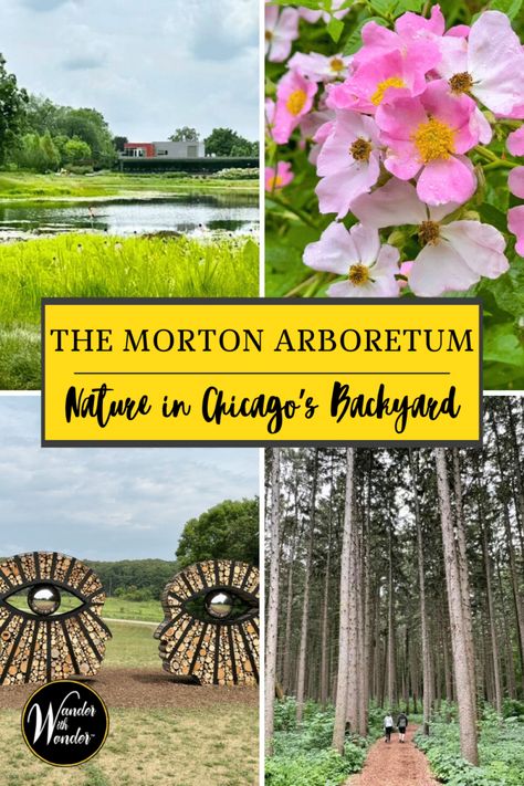 The Morton Arboretum near Chicago gives you a chance to explore nature. Read on for how to make the most of your visit to the beautiful arboretum just minutes from downtown Chicago. | Botanical Gardens | Arboretums | Gardens in Chicago The Morton Arboretum, Morton Arboretum, Michigan Road Trip, North America Travel Destinations, Chicago Botanic Garden, Dream Trips, Chi Town, Festivals Around The World, Hiking Spots