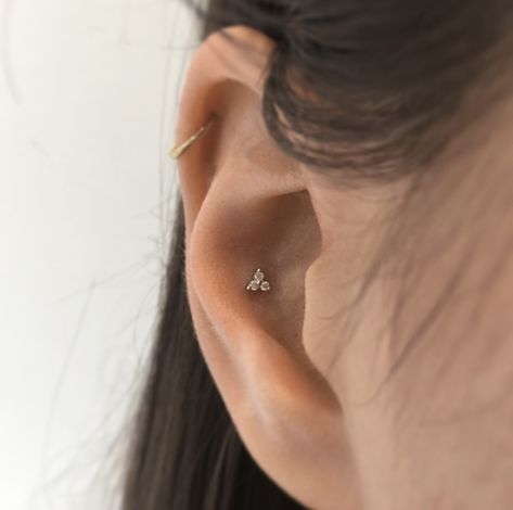 Conch Piercing Stud, Conch Stud, Conch Piercing Jewelry, Plain Ring, Maria Tash, Ear Party, Another Round, Lobe Piercing, Conch Piercing