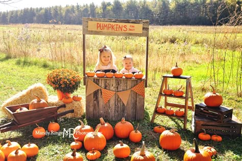 Lemonade Stand Photo Shoot, Halloween Mini Session, Pumpkin Patch Birthday, Pumpkins For Sale, Fall Backdrops, Pumpkin Stand, Photo Halloween, Mini Photo Sessions, Pumpkin Stands