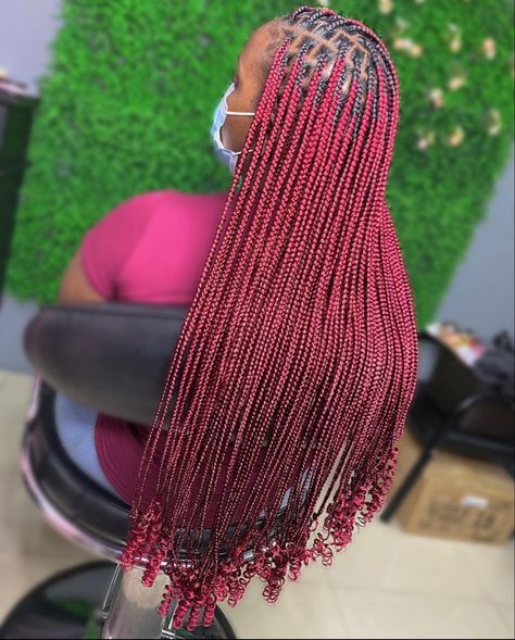 Burgundy Braids, Burgundy Box Braids, Hairstyles Braid, Braid Hairstyles, Braids Hairstyles, Burgundy Color, Box Braids, Braided Hairstyles, Curly Hair Styles