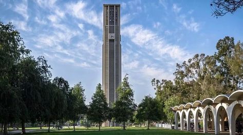 UC Riverside Packing List | Move In Day - Humans of University Riverside Aesthetic, Uc Riverside, Move In Day, Art School Supplies, Folder Organization, Shower Shoes, College Tips, Photo Clips, Cinder Block