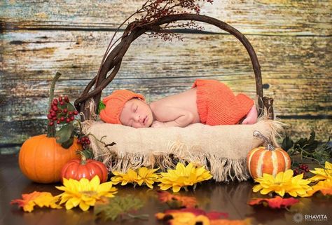 Fall Newborn Photography, Pumpkin Outfit, Halloween Photoshoot, Newborn Shoot, Holiday Pictures, Newborn Photoshoot, Children And Family, Girl Falling, Newborn Pictures