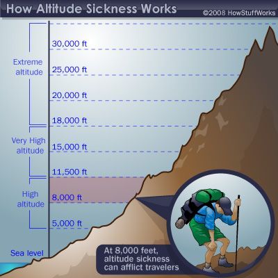 HowStuffWorks "Physiological Effects of High Altitude" Kilimanjaro Climb, Bushcraft Skills, Hiking Training, Altitude Sickness, Hiking Tips, High Altitude, Camping And Hiking, Survival Skills, Hiking Trip