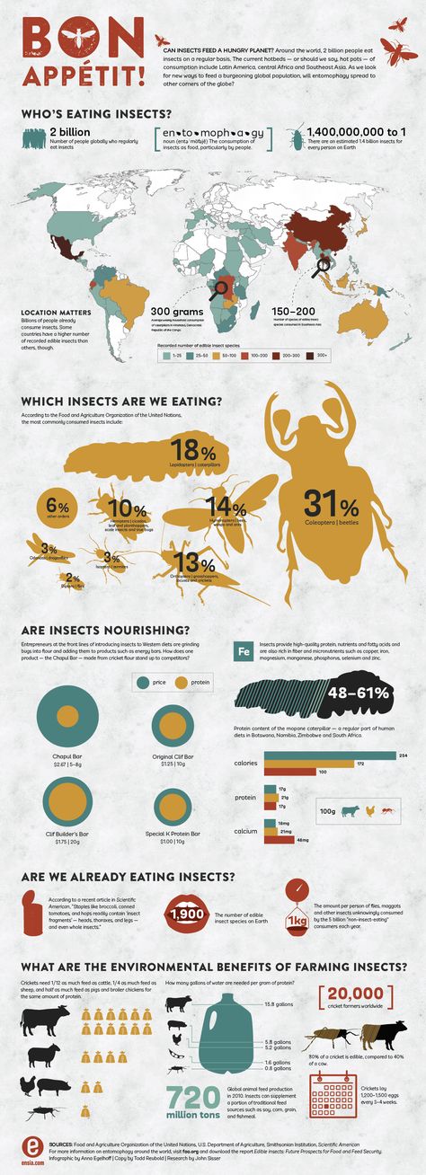 Around the world two billion people eat insects on a regular basis. As we look for new ways to feed a burgeoning global population, will entomophagy spread to other corners of the globe? Edible Insects, Ap Human Geography, Human Geography, Global Population, Aquaponics System, Survival Techniques, Food Security, Sustainable Food, People Eating