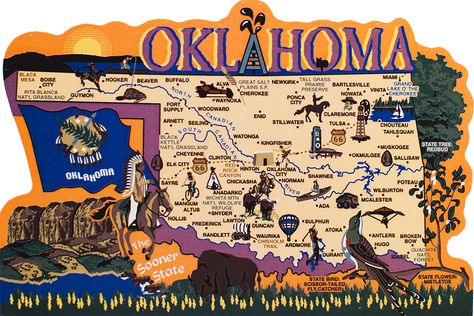 State Map, Oklahoma Oklahoma Attractions, America States, Cat Website, Oklahoma History, Route 66 Road Trip, State Symbols, Cat Seat, Cat Meow, Cat Stands