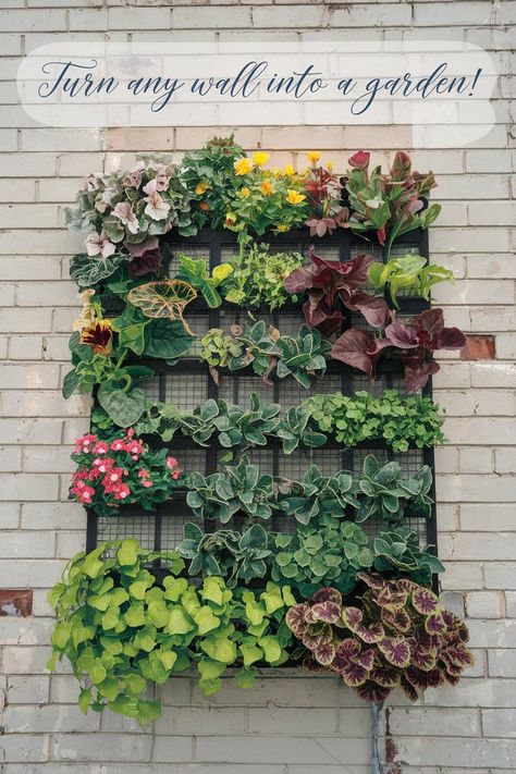 Transform Your Space with Vertical Gardening Small Vertical Garden, Vertical Green Wall, Garden Well, Well Art, Climbing Trellis, Vertical Garden Planters, Garden Paradise, Vertical Garden Wall, Living Walls