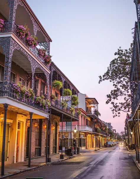 New Orleans Royal Street Prints come unframed and are printed on premium, professional, archival paper which is guaranteed to last 100 years in normal household viewing conditions.  Please note that the resolution has been reduced for web viewing purposes. Your purchased print will be a high-resolution copy.  If you are looking for a different size, let me know! Purchasing an image does not transfer the rights for reproduction, they are copyright protected and may not be reproduced without my permission. Aesthetic New Orleans, New Orleans Aesthetic, New Orleans Vintage, Frog Photos, New Orleans Photography, Travel Photo Wall, New Orleans Street, New Orleans Architecture, Dream Trips