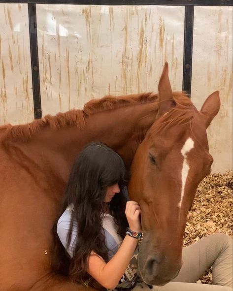 Horse Laying Down With Human, Horse Cuddling Human, Bonding With Horse, Horses And Cats, Horse Rider Aesthetic, Horse Hug, Horse Bonding, Horse Laying Down, People Hugging