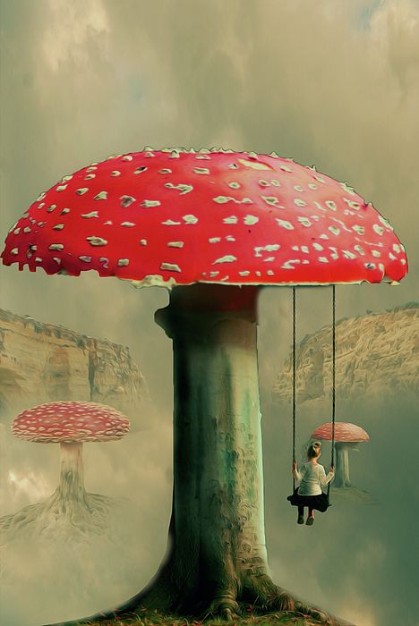 Proportion Art, Fungi Art, Gcse Art Sketchbook, Arte Peculiar, Collage Art Projects, Abstract Art Wallpaper, Surrealism Painting, Mushroom Art, Pop Surrealism