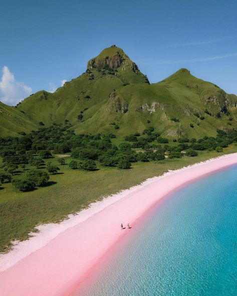 Travel World Aesthetic, Aesthetic Wallpaper Travel, World Map Wall Decor, Wallpaper Travel, Komodo National Park, Pink Sand Beach, World Aesthetic, World Map Wallpaper, Best Scuba Diving