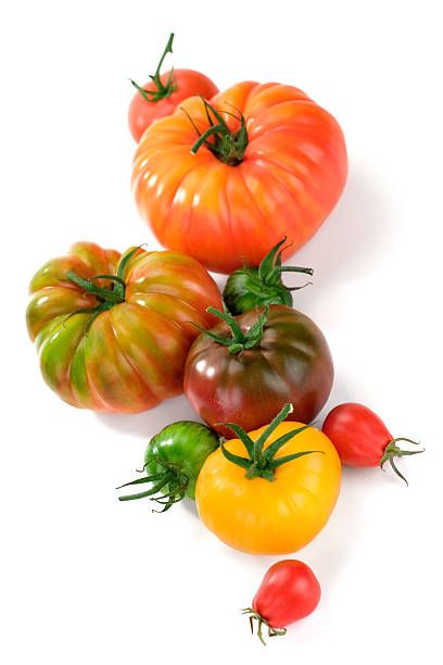 1,883,604 Tomato Stock Photos, Pictures & Royalty-Free Images - iStock Mother Earth Living, Heirloom Vegetables, Tortellini Soup, Garden Help, Square Foot Gardening, Arugula Salad, Home Vegetable Garden, Growing Tomatoes, Tomato Plants