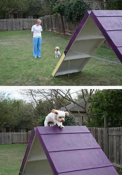 Dog Agility Course, Agility Training For Dogs, Diy Dog Toys, Dog Yard, Dog Playground, Dog House Diy, Dog Games, Homemade Diy, Dog Projects