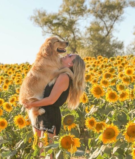 Sunflower Engagement Pictures, Engagement Pictures With Dog, Fall Dog Photos, Dog Owner Photoshoot, Dog Family Pictures, Pet Photography Poses, Dog Photoshoot Pet Photography, Dog Photography Poses, Senior Dogs Care