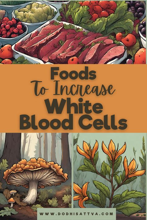 increase white blood cell count immune system Working Housewife, White Blood Cells Increase, Low White Blood Cells, Sinus Infection Remedies, Tooth Ache Relief, White Blood Cell, Herbal Remedies Recipes, Plant Benefits, White Blood