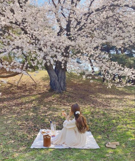 Cherry Blossom Picnic, Japan Cherry Blossoms, Spring Outfits Japan, Outfits Japan, Cottagecore Picnic, Japan Cherry Blossom, Calm Art, E T, Tokyo Japan Travel