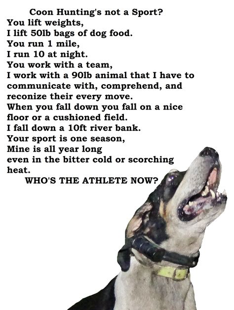 No one will ever convince me that coon hunting's not a sport. Dog Dental Cleaning, Coon Hunting, Hunting Quotes, Hound Dogs, Bear Hunting, Dog Teeth Cleaning, Dog Tips, Dog Teeth, Dog Obedience