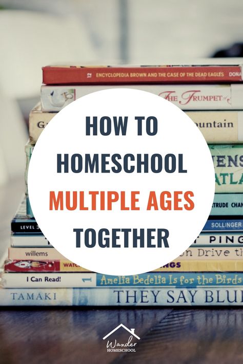 Do you have lots of children in different grades? Find out how you can homeschool them together. How to Homeschool Multiple Ages Together - Wander Homeschooling Homeschooling Different Ages, How To Homeschool Multiple Grades, Homeschooling Multiple Grades, Homeschool Multiple Grades, Homeschool Schedule Multiple Kids, Homeschool Multiple Kids, Homeschooling Organization, Homeschooling Multiple Ages, Teaching Styles