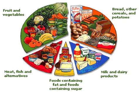 This image can be displayed in any classroom, ranging from elementary through college, to remind students the importance of a balanced diet.  It is important to have an image similar to this in younger classrooms so students begin to learn at a young age how vital it is to maintain a healthy diet.    -Michael Hecht Food Groups For Kids, Healthy Food Plate, Five Food Groups, Food Types, South Beach Diet, Food Pyramid, Food Groups, Energy Foods, Preschool Science