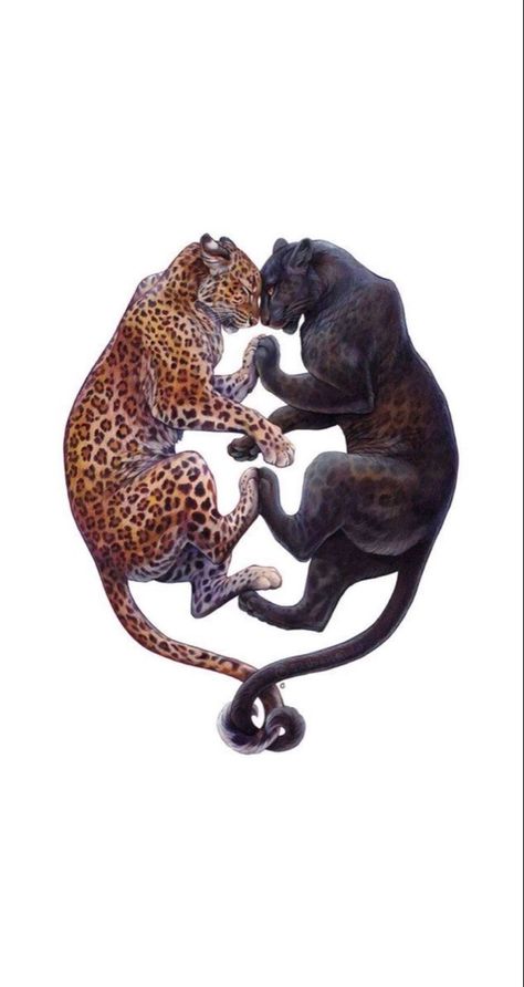 Big Cat Tattoo, Room Pics, Panther Tattoo, Big Cats Art, Tiger Art, Leopards, Cat Tattoo, 귀여운 동물, Big Cats