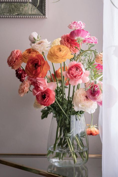 Flower Arrangements Clear Vase, Rannoculous Flower, Ranunculus Bouquet Aesthetic, Flowers At Home Aesthetic, Rannaculus Flower Wedding, Ranculus Flowers, Ranunculus Aesthetic, Ranunculus Vase, Growing Ranunculus