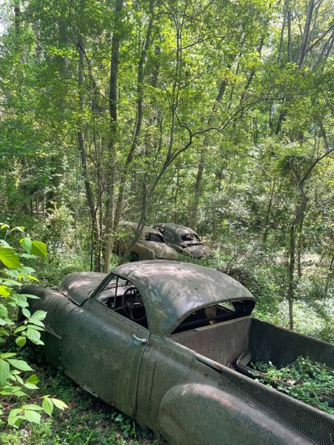 nature abandoned cars forest woods ominous retro Abandoned Cars, Zombie, My Pictures, Forest, Drive, Cars, Wood, Nature, Zombies