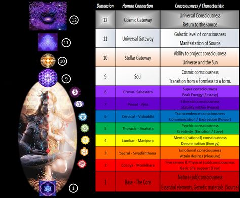 Dimensions Universe, Empath Abilities, Chakra Chart, Mathematics Geometry, 12 Dimensions, Chakra Activation, Universal Consciousness, Human Design System, Cosmic Consciousness