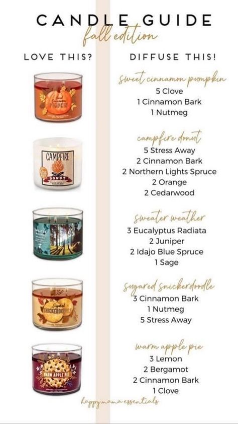 Copycat Candle Scent Recipes, Diy Fall Scented Candles, Candle Guide, Essential Oil Candle Blends, Essential Oil Candle Recipes, Candle Scents Recipes, Candle Blends, Holistic Home, Lilin Aroma