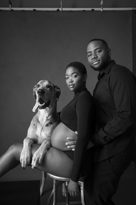 Maternity Photo Shoot Ideas Dog, Maternity Photo Shoot With Dog, Maternity Photo With Dog, Pregnancy Photoshoot With Dog, Pregnancy Photos With Dog, Maternity Pictures With Dog, Maternity Shoot With Dog, Maternity Photography With Dog, Maternity Photos With Dog