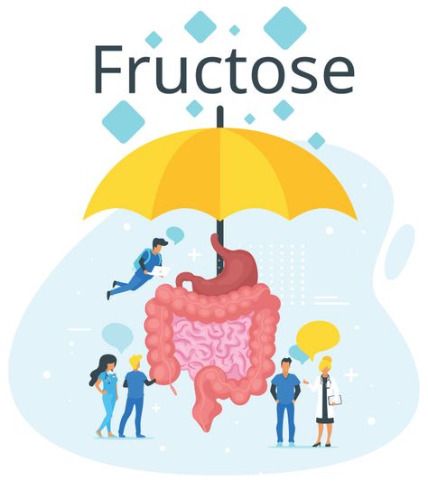 Fructose Intolerance Diet, Fructose Free Recipes, Fructose Intolerance, Fructose Malabsorption, Fructose Free, Nut Allergy, Longevity Diet, Lactose Intolerance, Sweet Foods