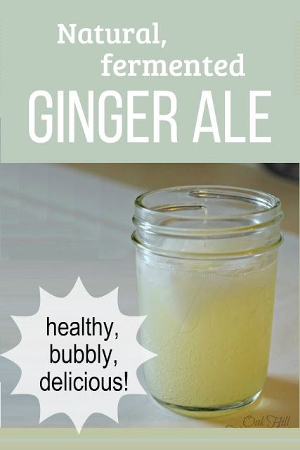 Fermented Ginger, Fermented Vegetables Recipes, Ginger Ale Recipe, Resep Vegan, Homemade Ginger Ale, Fermented Veggies, Fermentation Recipes, Soda Recipe, Fermented Vegetables