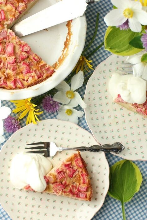 Easiest Pie Ever! This Impossible Rhubarb Custard Pie is whipped up in a few minutes. The filling settles into a thicker layer at the bottom to form its own crust, with a creamy custard layer in the middle, and a tart and fruity layer of rhubarb at the top. No crust to roll out or fiddle with. And the gluten-free version works beautifully as well! Pie is in the oven in minutes! #rhubarbpie #rhubarbcustardpie #crustlesspie #crustlessrhubarbpie #rhubarb #pie Melt In Your Mouth Cake Recipe, Gluten Free Rhubarb, Yogurt Muffin, Crustless Pie, Rhubarb Custard Pie, Rhubarb Custard Pies, Rhubarb Recipes Pie, Fresh Rhubarb, Rhubarb Custard