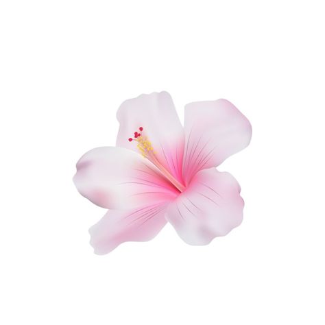 Flower White Background Aesthetic, Iphone Stickers Aesthetic, Hibiscus Widget, Pink Flower White Background, Flower Icon Aesthetic, Pink Png Aesthetic, Flowers With White Background, Pink Flower Png, Flower Widget