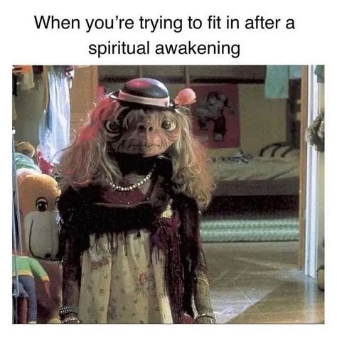 Just a little spiritual meme dump to make you life #esoteric #spiritualjourney Dominicans Be Like, Workplace Memes, Getting Up Early, Try To Remember, Memes Humor, Komik Internet Fenomenleri, Photo Instagram, Spiritual Journey, Bones Funny