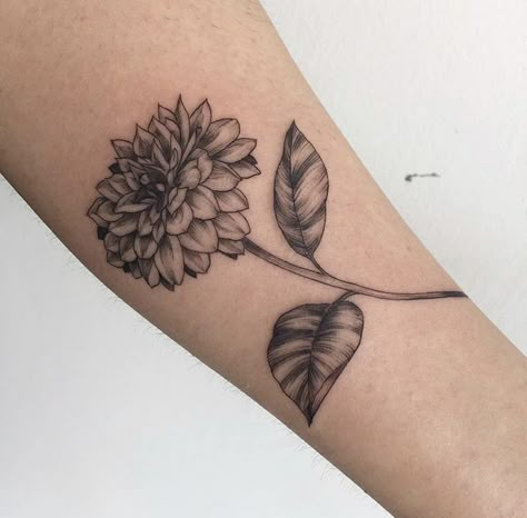 Dahlia And Sunflower Tattoo, Zenia Flower Tattoo, Dalia Flower Tattoo, Dahlia Tattoo Design, Black Dahlia Tattoo, Dahlia Flower Tattoo, Dahlia Flower Tattoos, Botanical Sleeve, Dahlia Tattoo