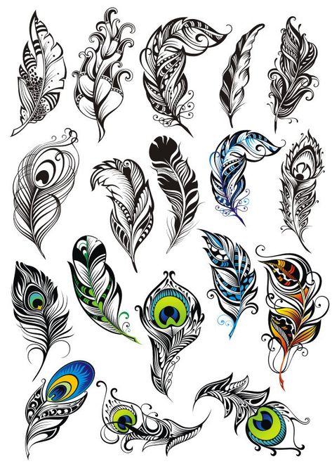 Peacock Feather Vector, Feather Art Drawing, Tato Maori, Peacock Feather Tattoo, Peacock Tattoo, Feather Drawing, Feather Vector, Graffiti Tattoo, Feather Tattoo Design