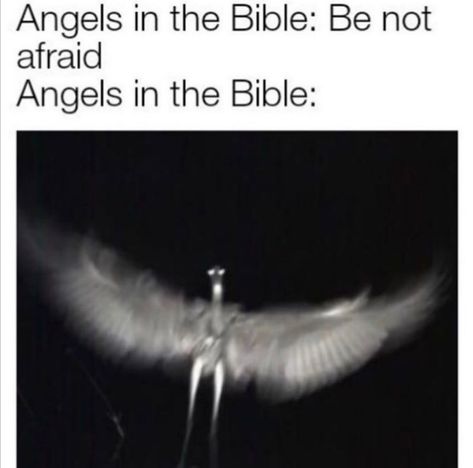 I know, the angels be so scary for what Scary Angel, Angel Meme, Angel Aesthetic, Christian Memes, Fallen Angel, Writing Inspiration, I Know, Angel, Memes