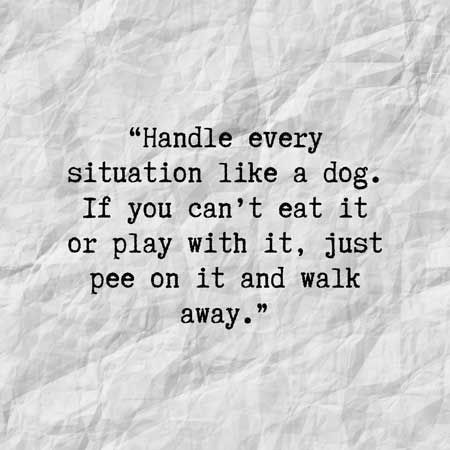 Deep And Funny Thoughts About The Animals In Our Life - I Can Has Cheezburger? Dog Funny Quotes, Quotes About Me, Best Dog Quotes, Dog Quote, Me And My Dog, Dog Quotes Funny, Quote Pins, Dog Funny, Funny Thoughts