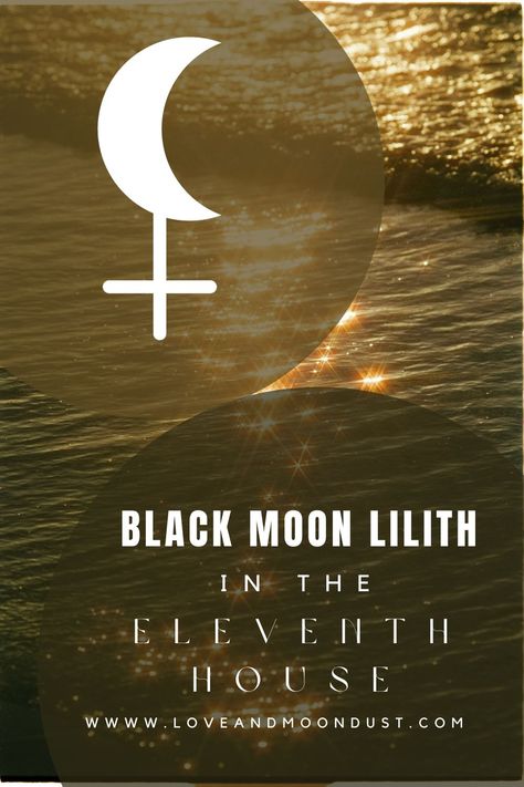 Embrace Your Unconventional Side: Black Moon Lilith in the Eleventh House Astrology House Astrology, Astrology In Hindi, House In Astrology, Astrology Houses, Social Activism, Black Moon Lilith, Astrology Meaning, Astrology Aquarius, Birth Chart Astrology