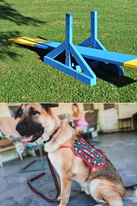 Diy Dog Agility Seesaw, Diy Dog Seesaw, Diy Dog Training Equipment, Diy Dog Agility Equipment, Dog Agility Diy, Dog Agility Course Diy, Dog Gym, Dog Agility Equipment, Indoor Dog Park