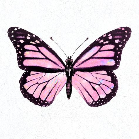 Pink holographic Monarch butterfly on a white background vector | premium image by rawpixel.com / nunny Pink Glitter Butterfly, Bullet Stickers, Pink Holographic, Glitter Butterfly, Butterfly Background, Dragonfly Art, Scrapbook Stickers Printable, Image Ideas, Pencil Art Drawings