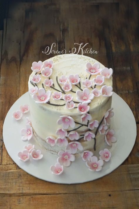 Sakura Party, Sakura Cake, Sakura Theme, Cherry Blossom Cake, Bts Cake, Bird Cake, Friends Cake, Tall Cakes, Bird Cakes