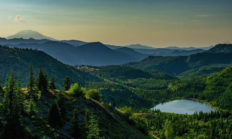 Sunrise upon Mt. Adams and the Gifford Pinchot National Forest Randle WA [OC] 6000x4000 @sirwilliamgorge  Click the link for this photo in Original Resolution.  If you have Twitter follow twitter.com/lifeporn5 for more cool photos.  Thank you author: https://bit.ly/3gtrxG7  Broadcasted to you on Pinterest by pinterest.com/sasha_limm  Have The Nice Life! Gifford Pinchot National Forest, Nice Life, Background Nature, Scenery Photos, Nature Wallpapers, Nature Scenery, 25 September, Nature Background, National Photography