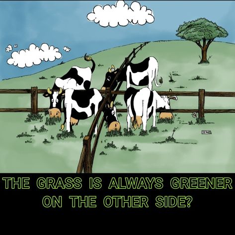 The grass is always greener on the other side? Grass Is Always Greener, The Grass Is Greener, Grass Is Greener, Inspirational Qoutes, Green Pasture, The Grass, Green Grass, Image Types, The Other Side