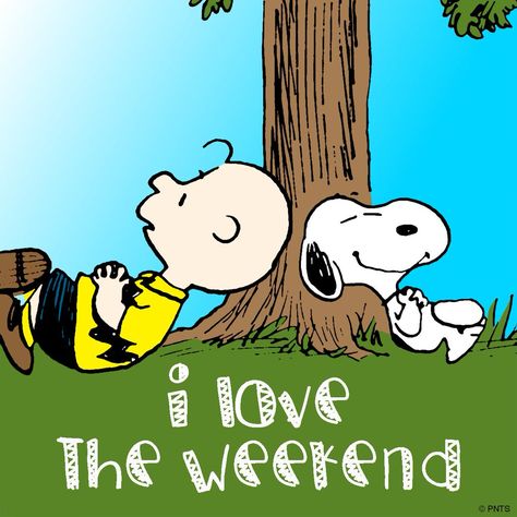 PEANUTS on Twitter: "I love the weekend! https://t.co/VRW9p3VAvt" Cheery Quotes, Snoopy Friday, Peanuts Quotes, Charlie Brown Quotes, Charlie Brown Characters, Week Quotes, Happy Week End, Snoopy Images, Peanuts Cartoon